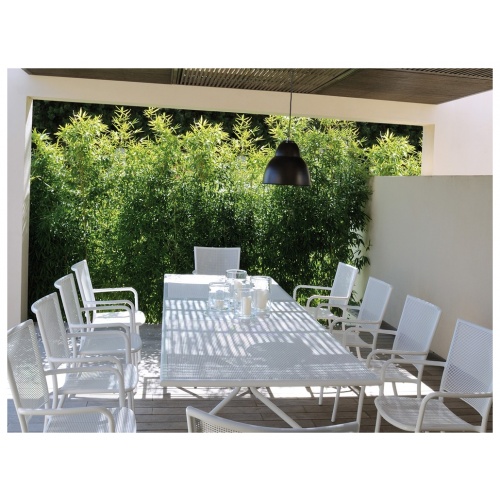 chaplins-emu-athena-lifestyle-4