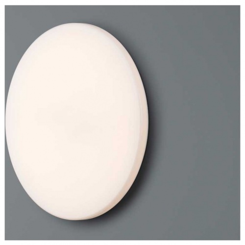 chaplins-flos-clara-wall-ceiling-4