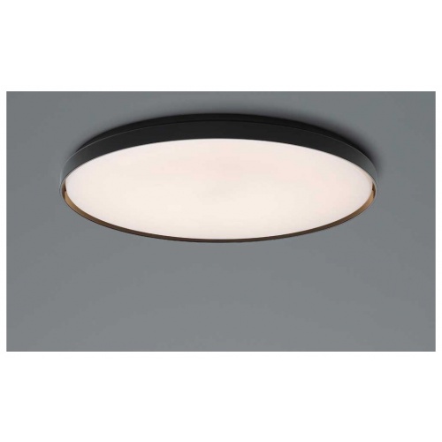 chaplins-flos-clara-wall-ceiling-3