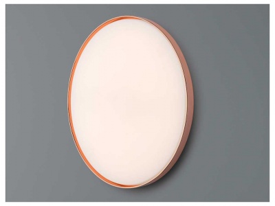 Clara Wall & Ceiling Light