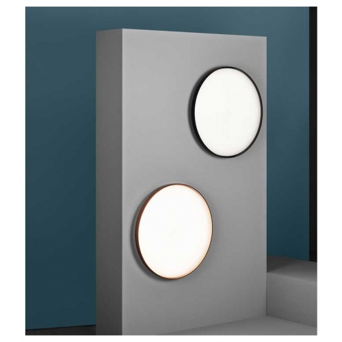 chaplins-flos-clara-wall-ceiling-6