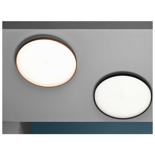 chaplins-flos-clara-wall-ceiling-5