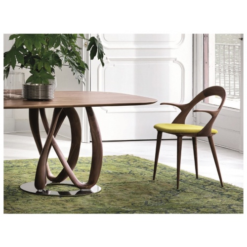 Ester Dining Chair With Arms 5
