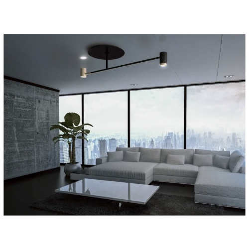 chaplins-contardi-lighting-melanocetus-pendant-light-2