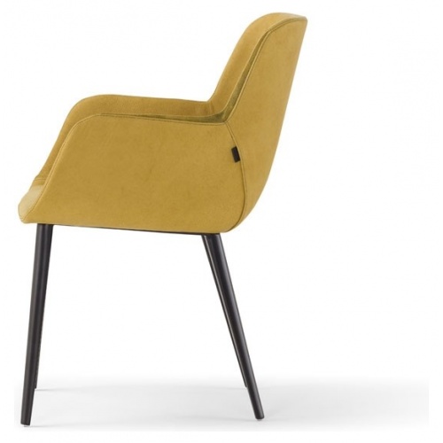 Panis Chair with Arms 5