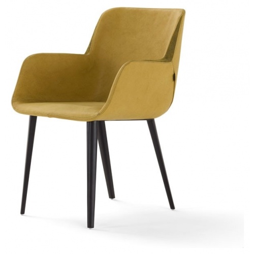 Panis Chair with Arms 6