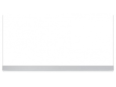 Tru Pendant Horizontal