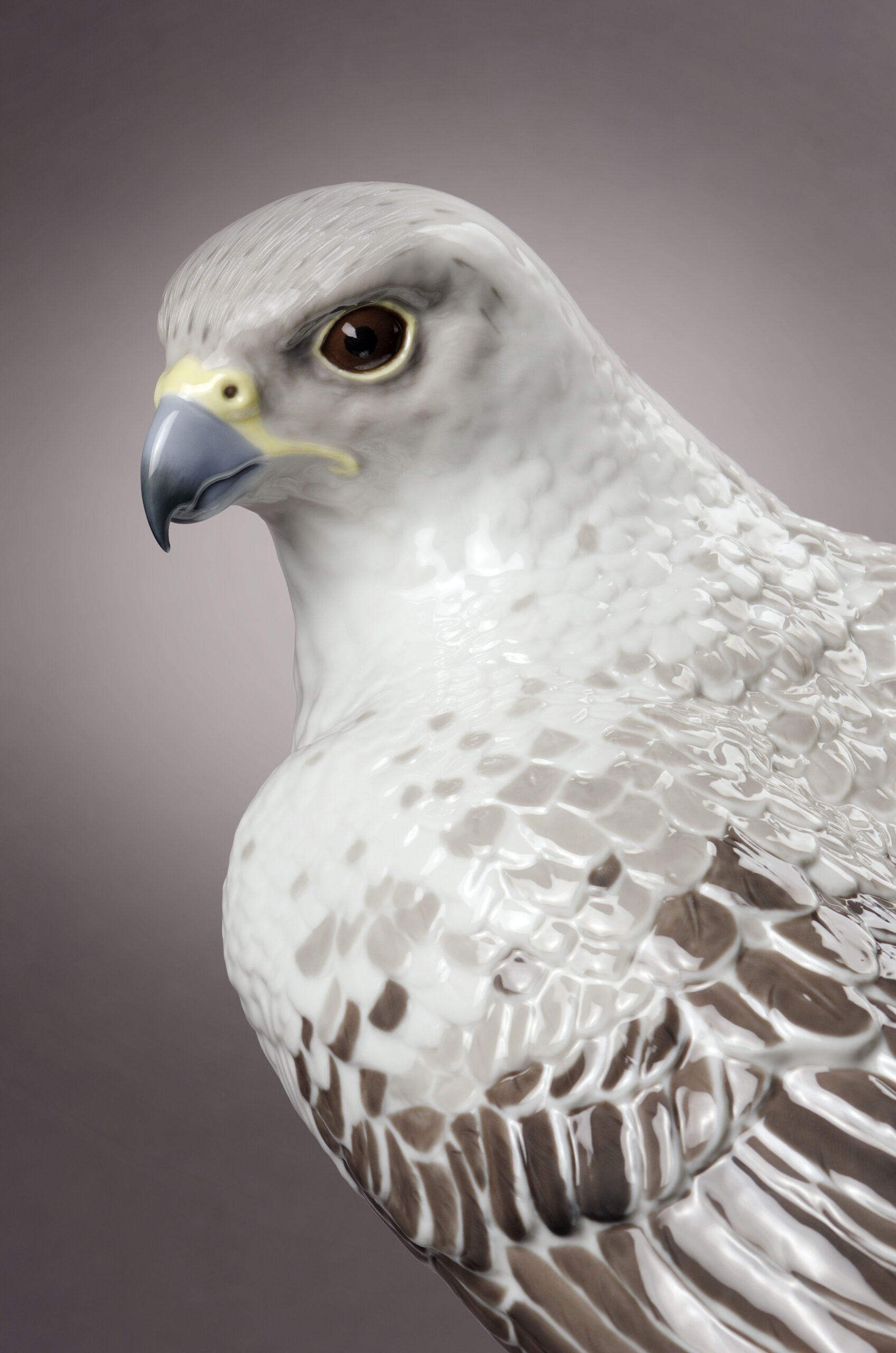 Gyrfalcon Sculpture. Limited Edition 6 Gyrfalcon Sculpture. Limited Edition 6