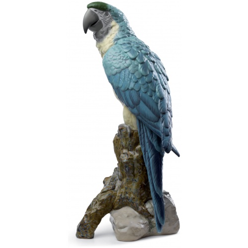 Macaw Bird Sculpture 5
