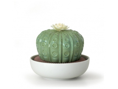 Astrophytum Cactus Diffuser. Night Approaches Scent