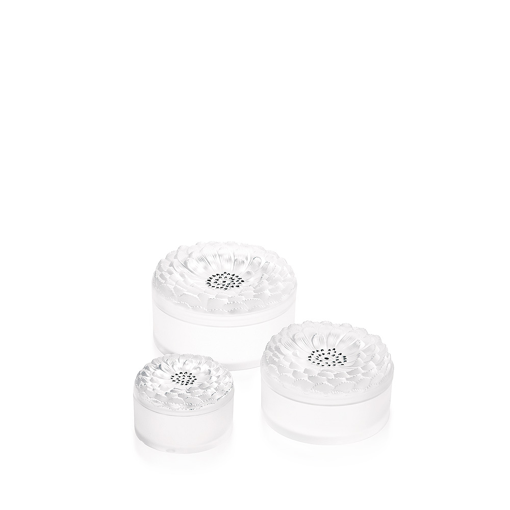 Dahlia box 5 Dahlia box 5