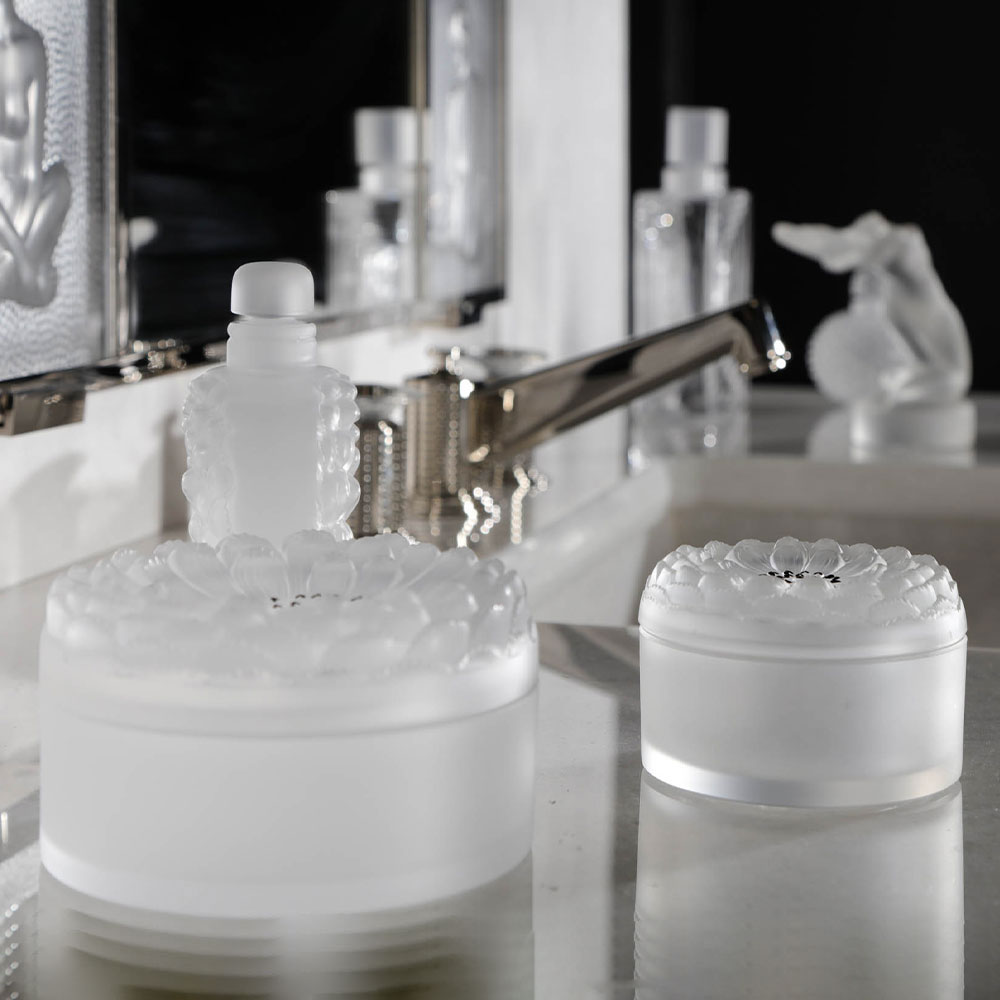 Dahlia box 6 Dahlia box 6