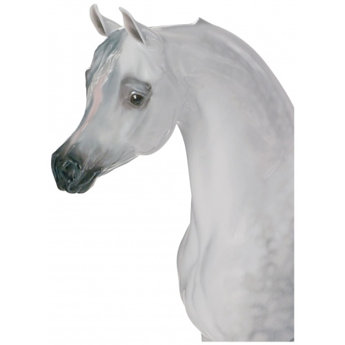Arabian Pure Breed Horse Figurine. Limited Edition 6
