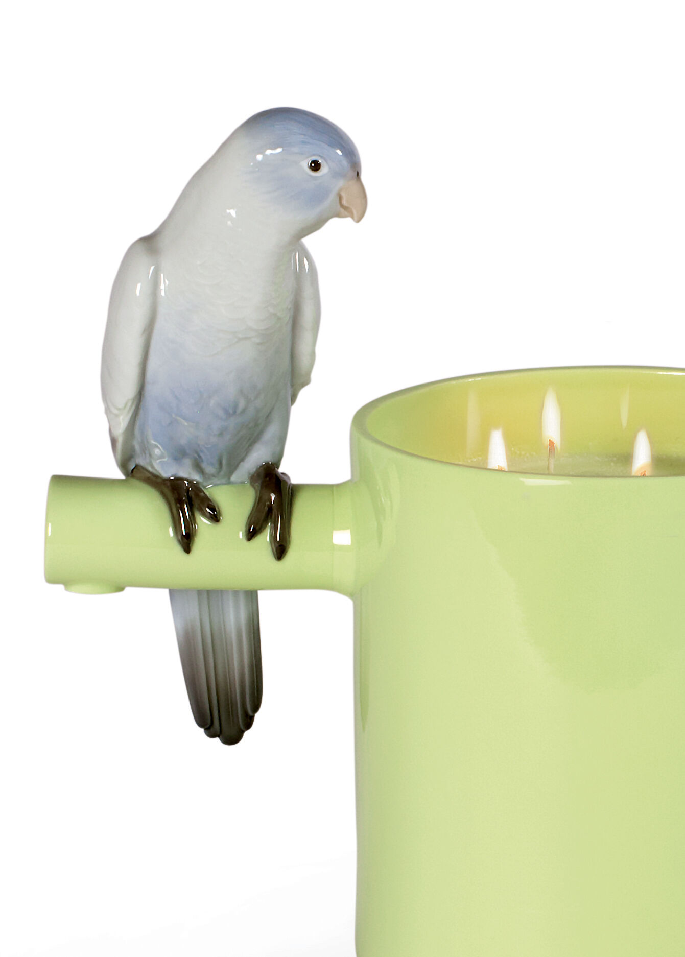 Parrot’s scented Treasure. On the prairie Scent. Green 5 Parrot’s scented Treasure. On the prairie Scent. Green 5