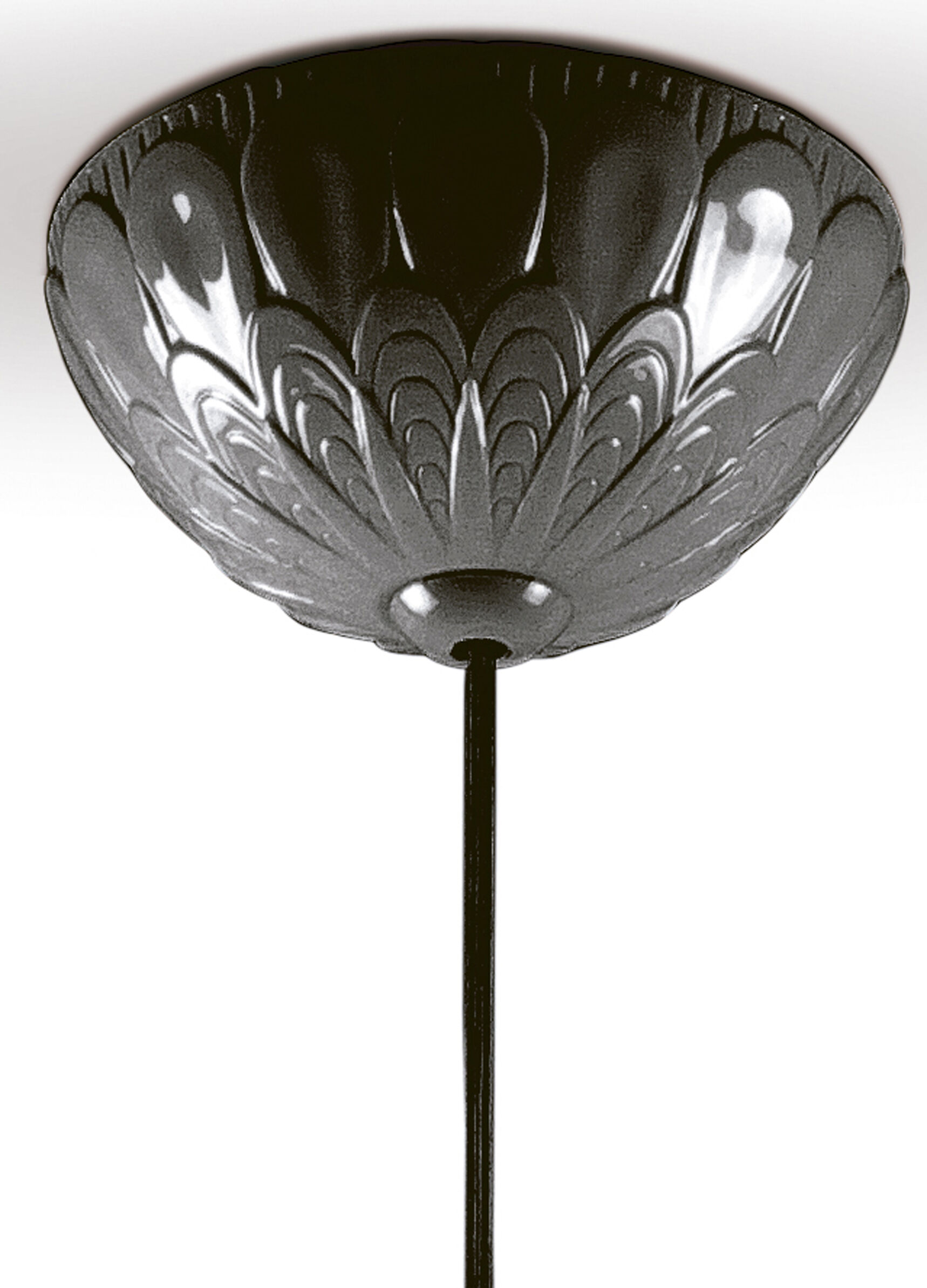Ivy and Seed Single Ceiling Lamp. Absolute Black (CE/UK) 5 Ivy and Seed Single Ceiling Lamp. Absolute Black (CE/UK) 5