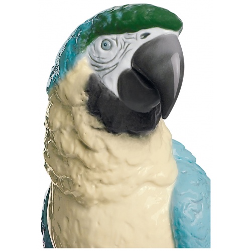 Macaw Bird Sculpture 6