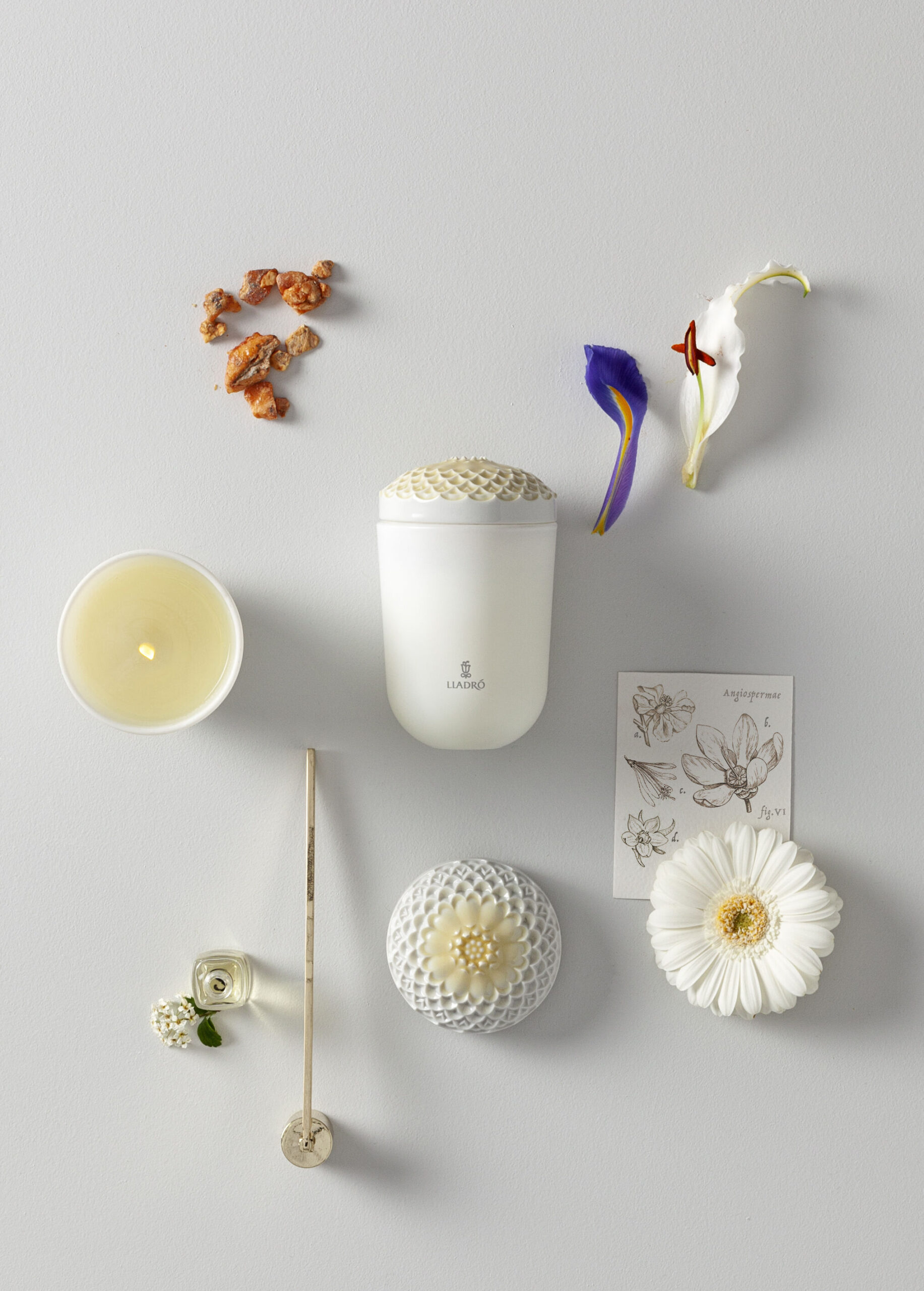 Echoes of Nature Candle. Tropical Blossoms Scent 7 Echoes of Nature Candle. Tropical Blossoms Scent 7