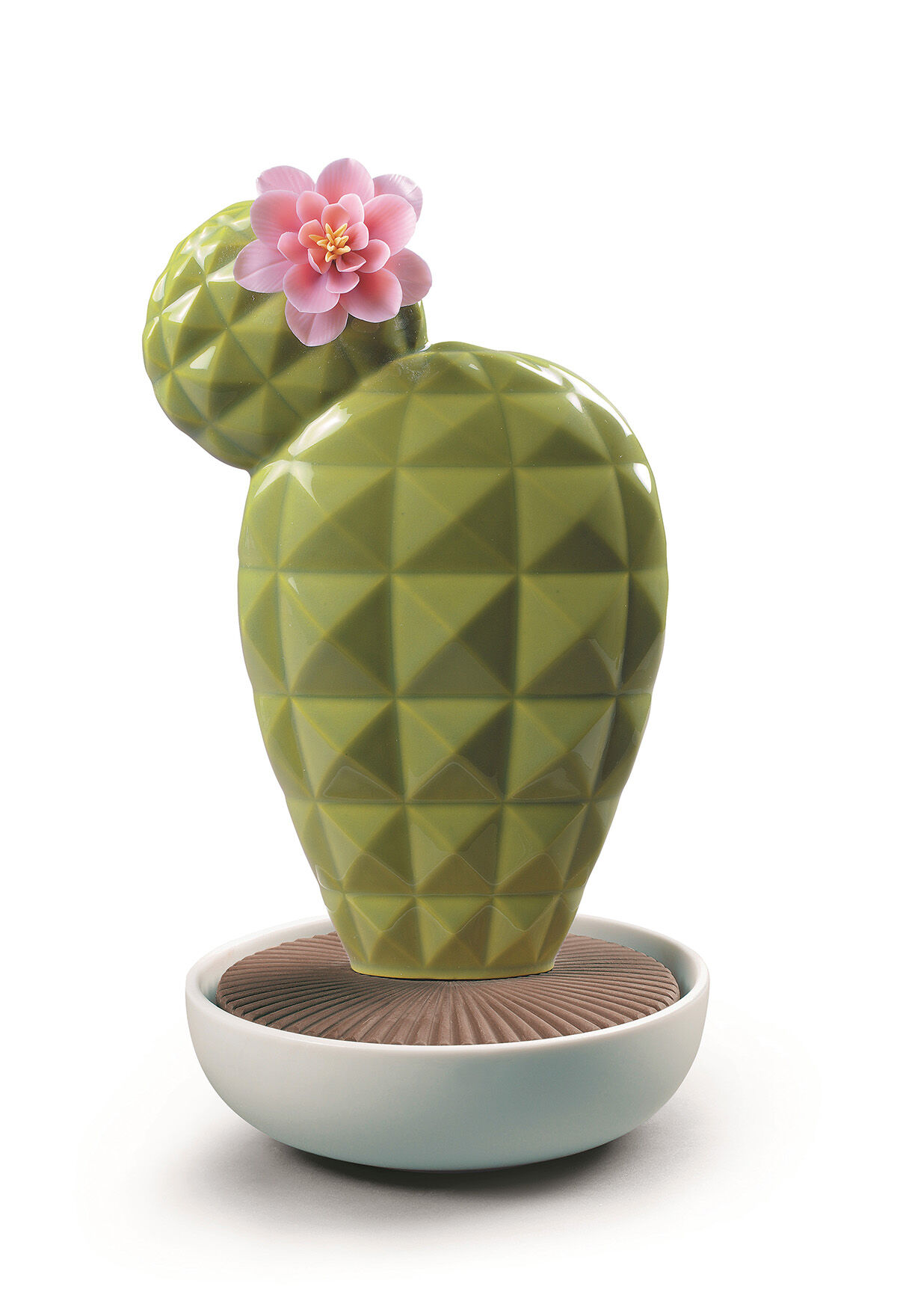 Opuntia Cactus Diffuser. Tropical Blossoms Scent 5 Opuntia Cactus Diffuser. Tropical Blossoms Scent 5