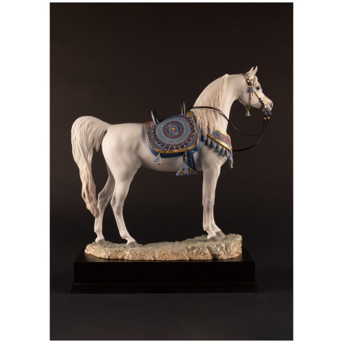 Arabian Pure Breed Horse Sculpture. Limited Edition 7