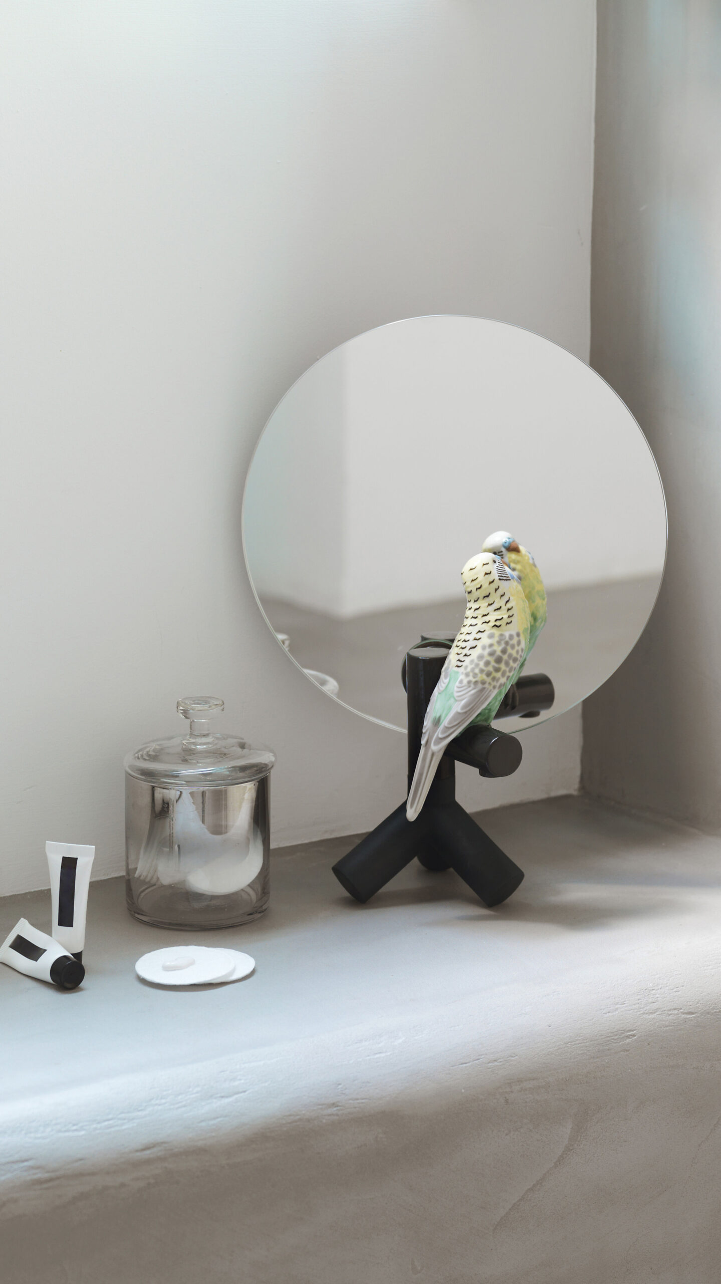 Parrot Vanity Vanity Mirror 5 Parrot Vanity Vanity Mirror 5
