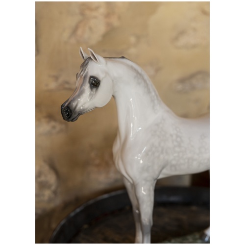 Arabian Pure Breed Horse Figurine. Limited Edition 8