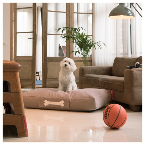 product_large_01_FATBOY_PDP_indoor_Doggielounge_stonewashed_Taupe_800x800px.jpg
